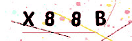 867807